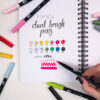 tombow dual brush pens colours